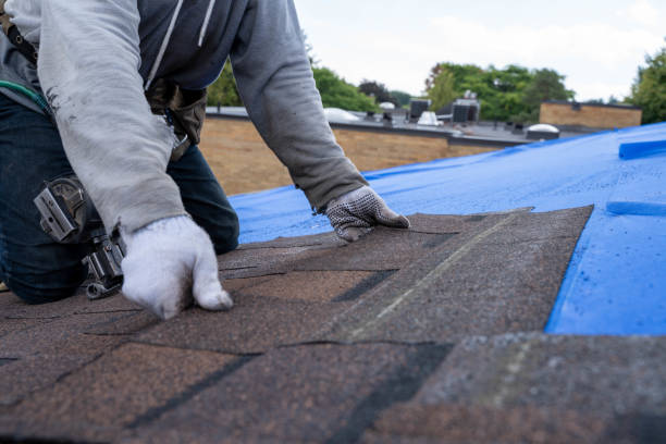 Best Chimney Flashing Repair  in Lake Riverside, CA